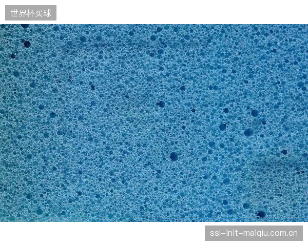 对PU发泡微观结构的精密测定，推高了鞋垫的制造成本，这部分溢价正在被转嫁给消费者吗？